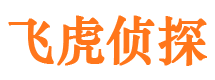 宝应侦探公司